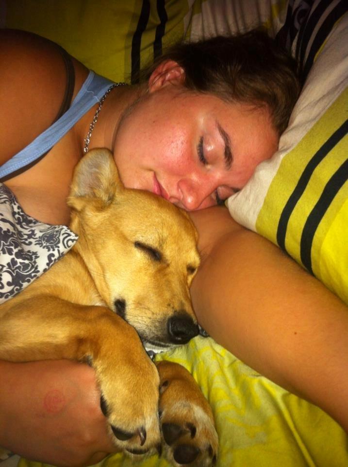 Blanding af racer Bailey - mor er den bedste og putte med <3 billede 4