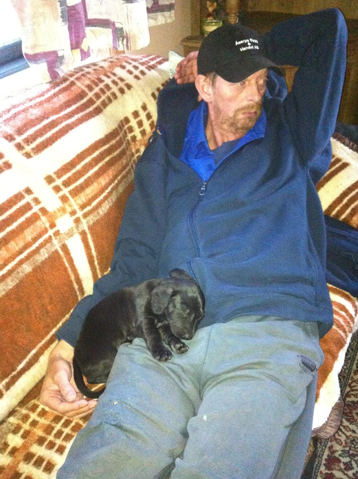 Blanding af racer Pixie - Pixie og Farmand (: billede 19