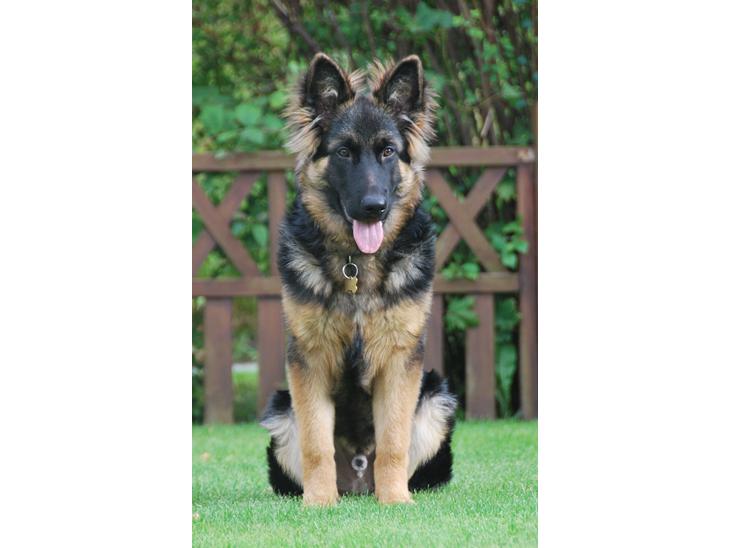 {{currentPhoto.altText}} billede {{currentPhoto.number}}