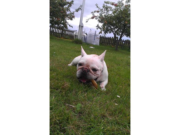 {{currentPhoto.altText}} billede {{currentPhoto.number}}