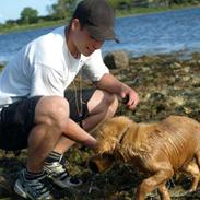 Nova scotia duck tolling retriever Aslan (Bali)