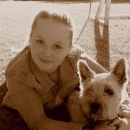 Cairn terrier Findus