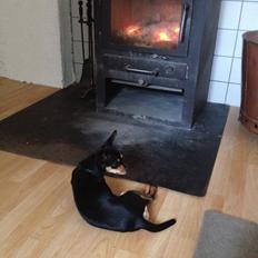 Blanding af racer Barbie/Baby Mors pige