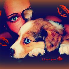 Blanding af racer Monty