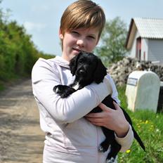 Field Trial Cockerspaniel Go Get It Nikita (Molly)