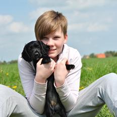 Field Trial Cockerspaniel Go Get It Nikita (Molly)