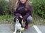 Cavalier king charles spaniel Basse Dion
