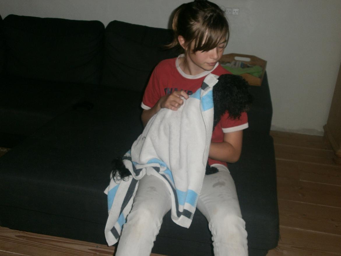 Blanding af racer Sambo - Han skal lige tørres efter en tur i regnvejr. billede 3