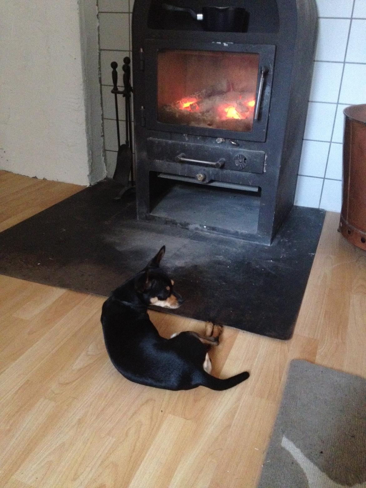 Blanding af racer Barbie/Baby Mors pige billede 3