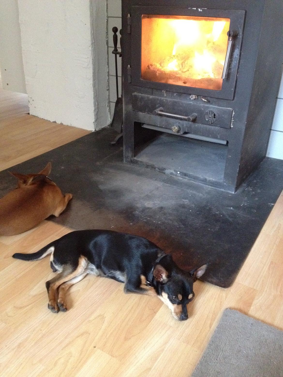 Blanding af racer Barbie/Baby Mors pige billede 13