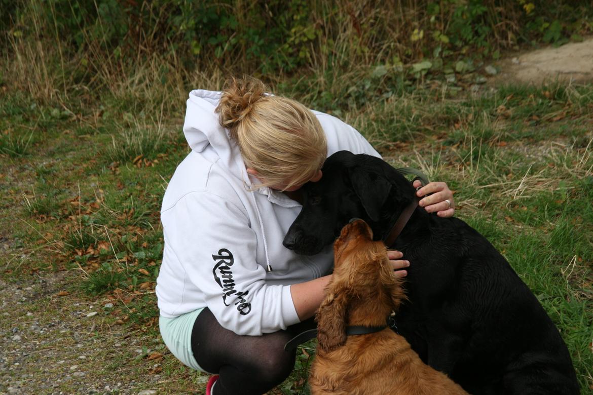 Blanding af racer LOKE VALDEMAR ;) HIMMELHUND ! :'( - MINE DRENGE <3  billede 1