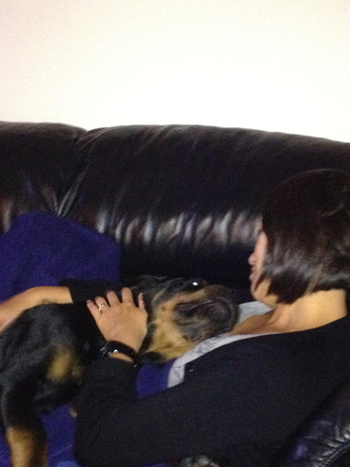 Rottweiler Lucca (Sjellebro's Eza) (2012-2020) billede 5