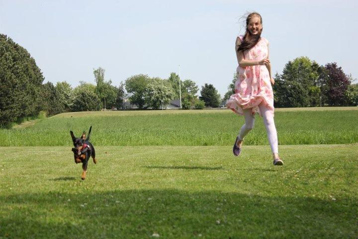 Dvaergpinscher Nellie <3 (Nellie Skovlund Asmussen) :)<3 billede 20