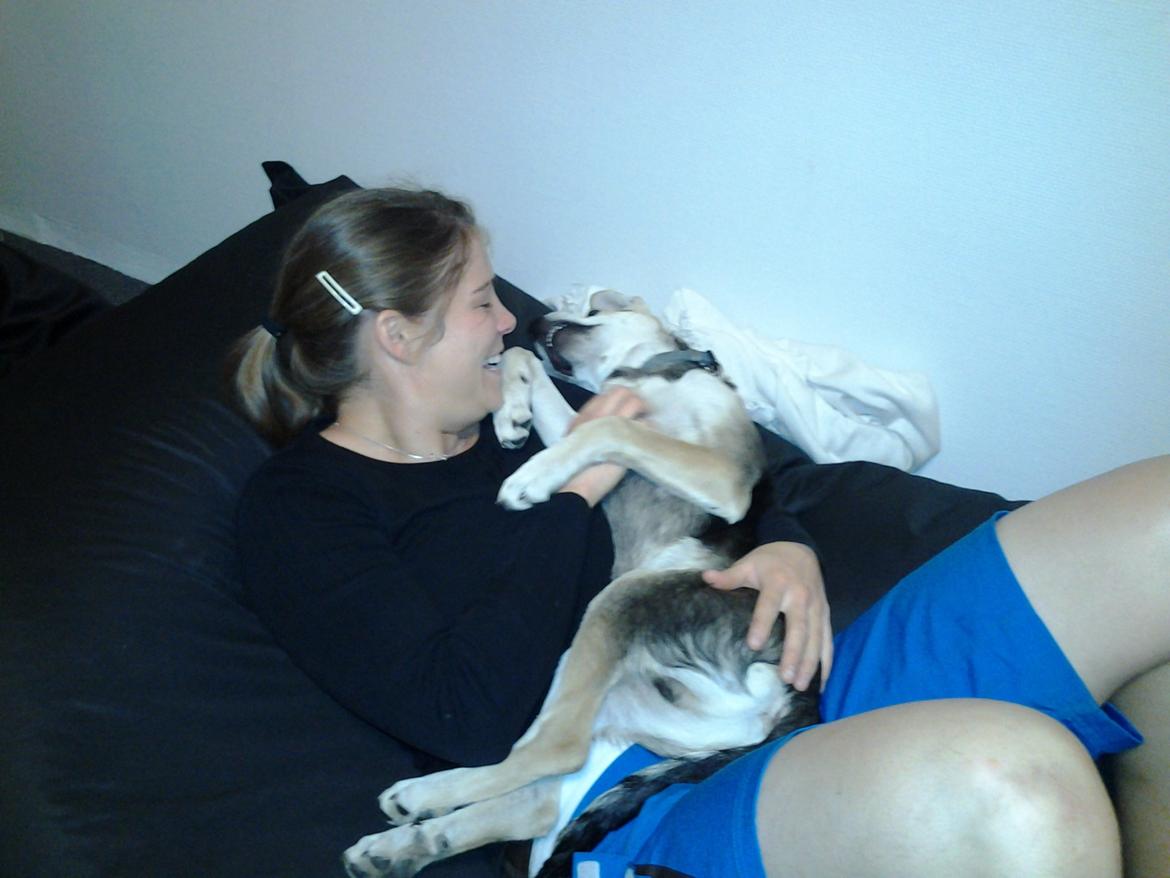 Blanding af racer Jack billede 8