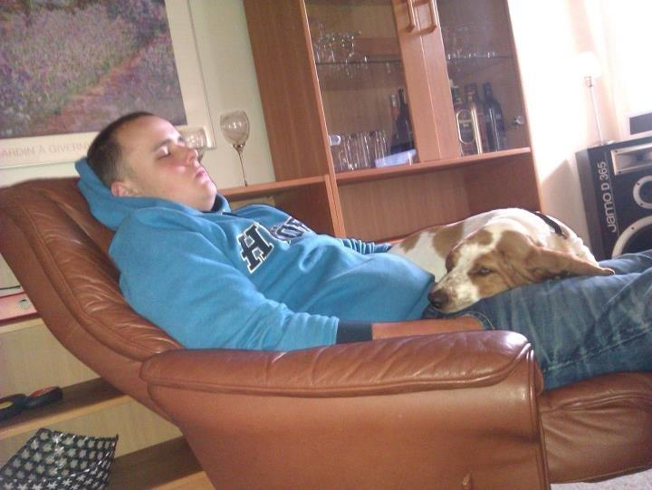 Basset hound Fred - Sove kan vi altid ! billede 10