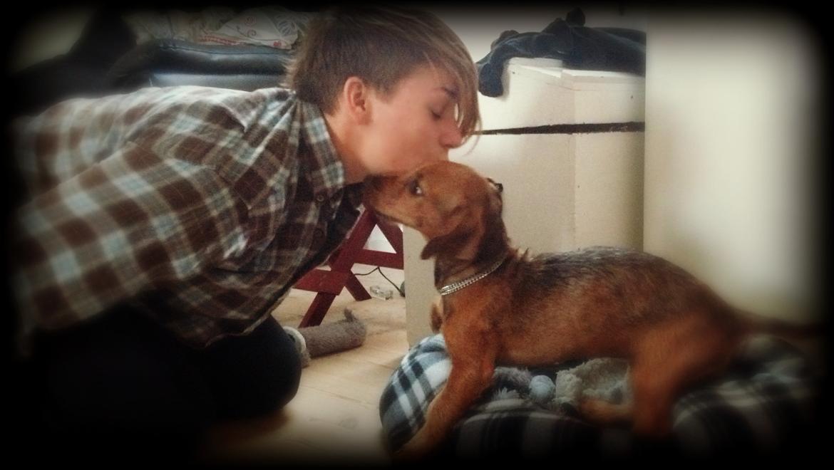 Blanding af racer Frigg billede 11