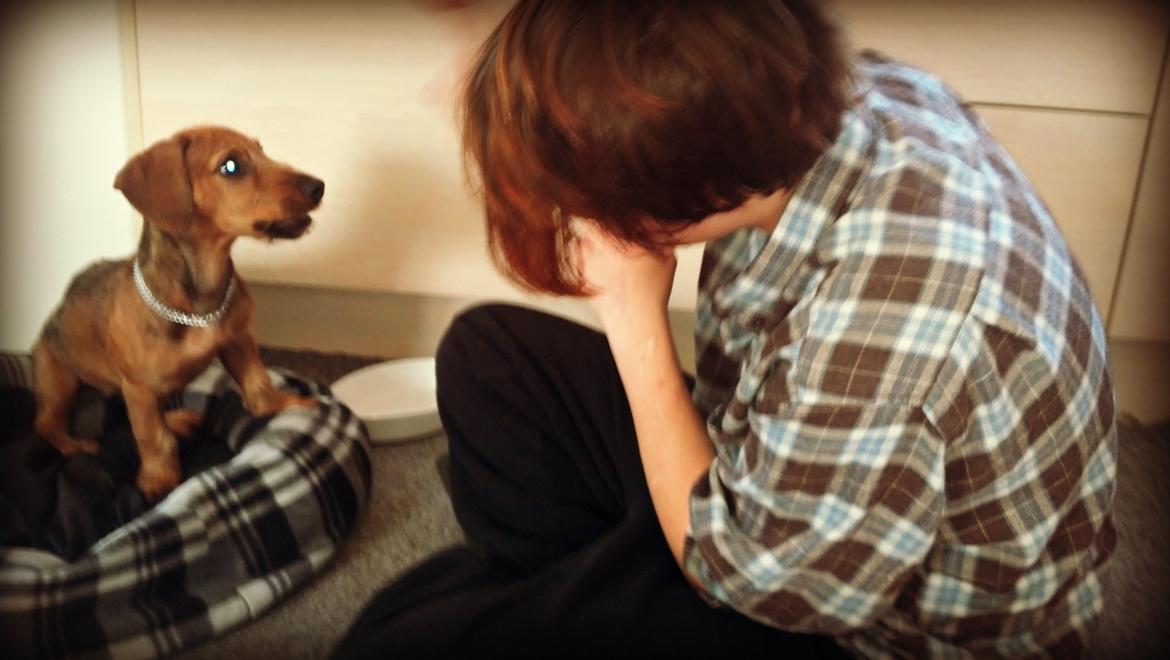 Blanding af racer Frigg billede 12