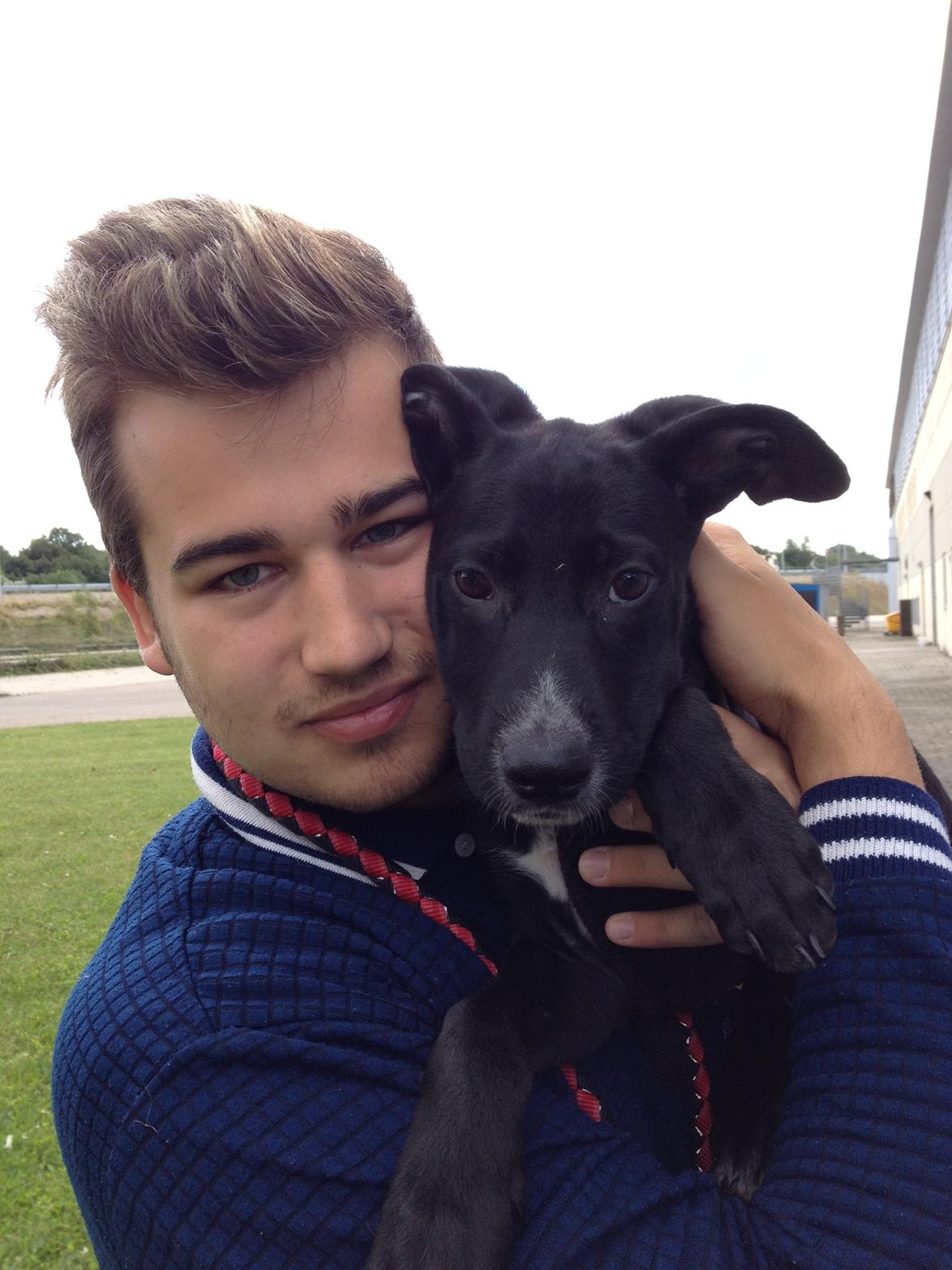 Blanding af racer Manse billede 5