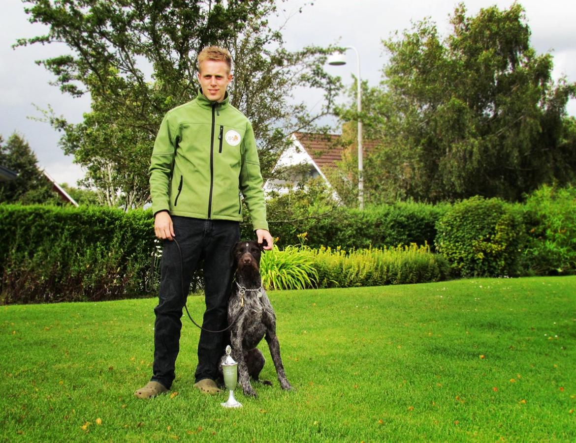 Ruhåret hønsehund Aico - Slæb- og apporteringsprøve. Max point og pokalvinder. billede 1