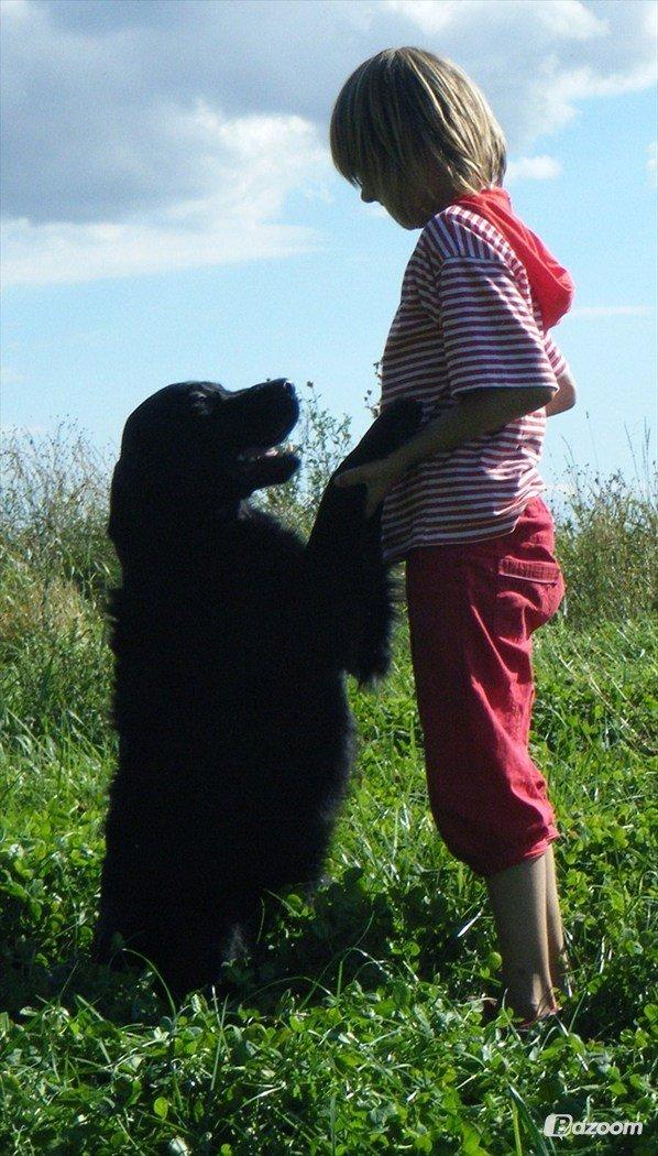 Blanding af racer Pingo (R.I.P ) billede 9