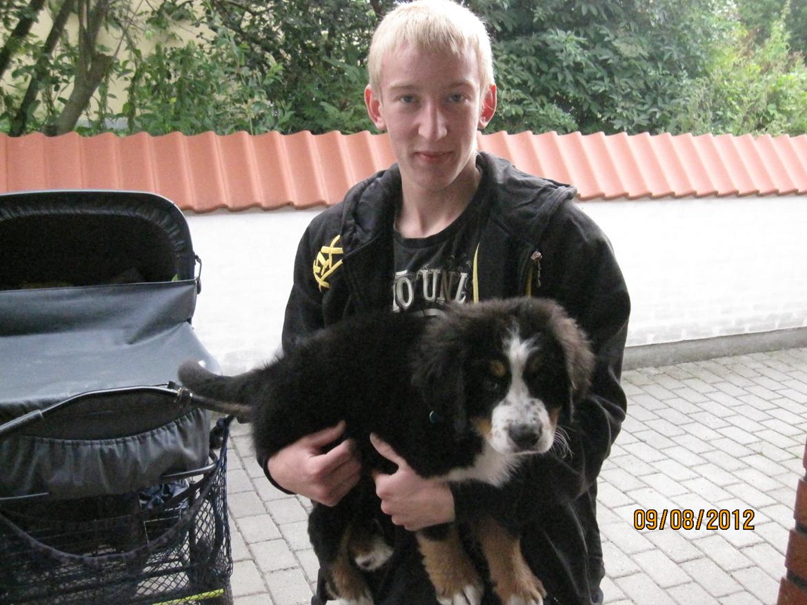 Blanding af racer Titan - Titan og hans menneskebror. billede 18