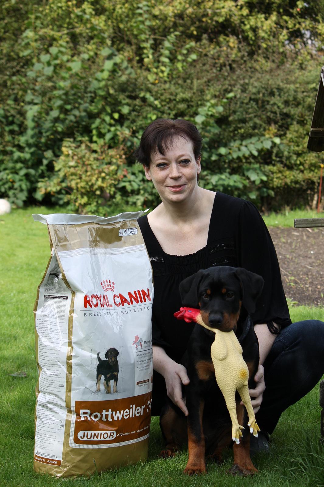 Rottweiler Kato Aflivet grundet AD/HD d. 15/4-13 billede 6