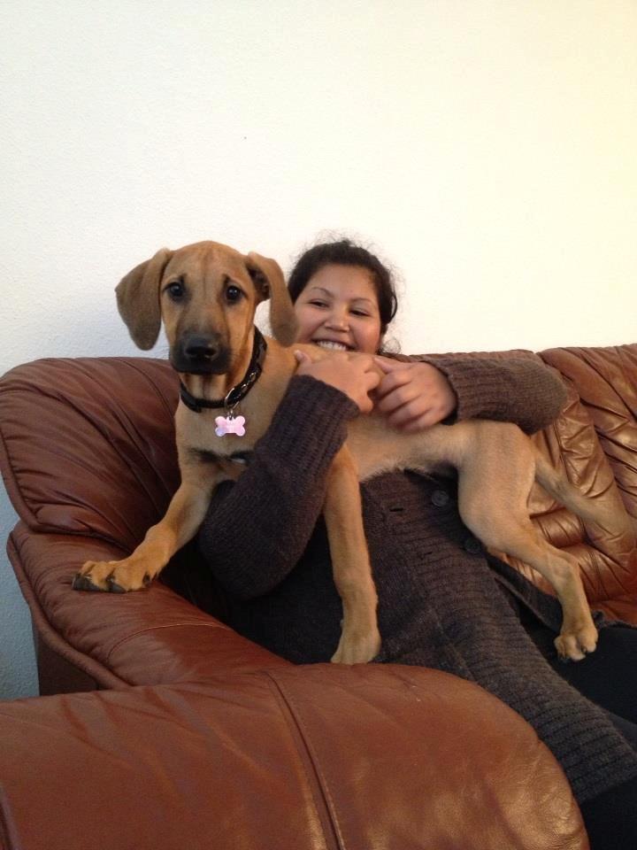 Blanding af racer Casha billede 9