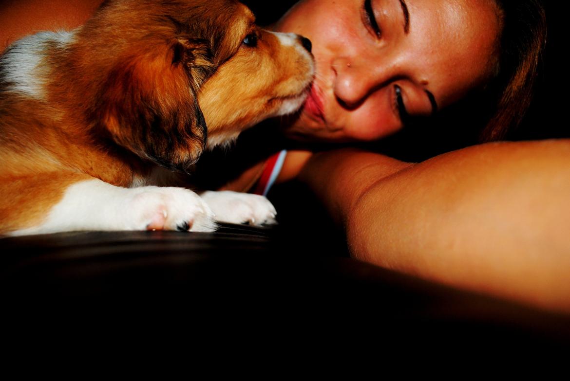 Blanding af racer Monty - min baby billede 1