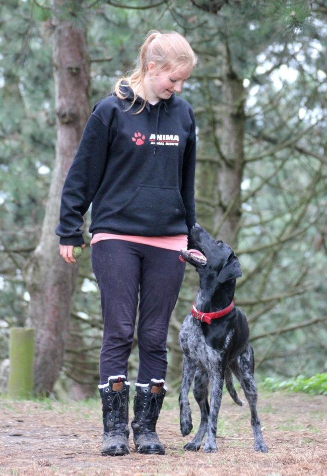 Blanding af racer Bella billede 18