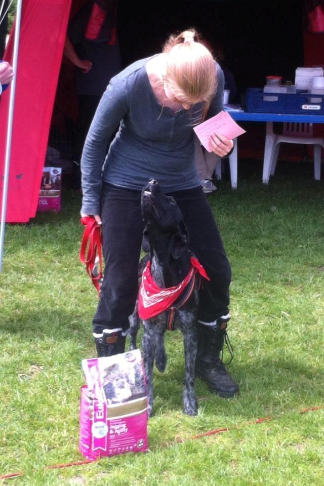 Blanding af racer Bella billede 19