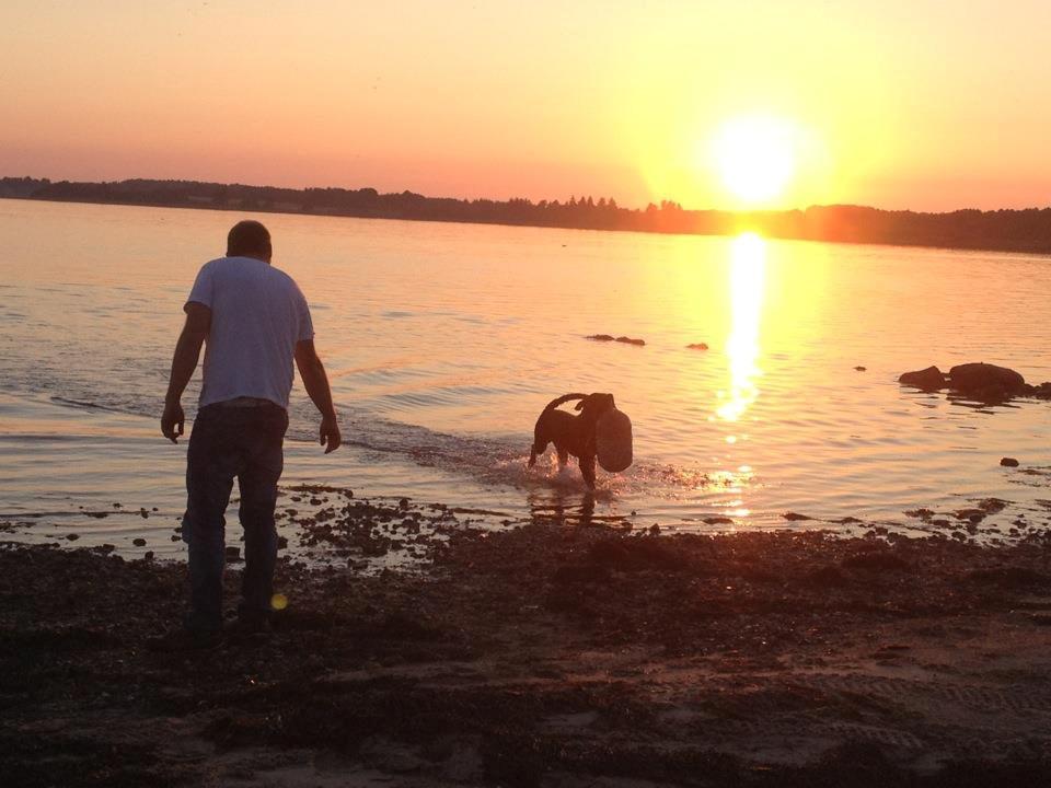 Blanding af racer max / maxi billede 15