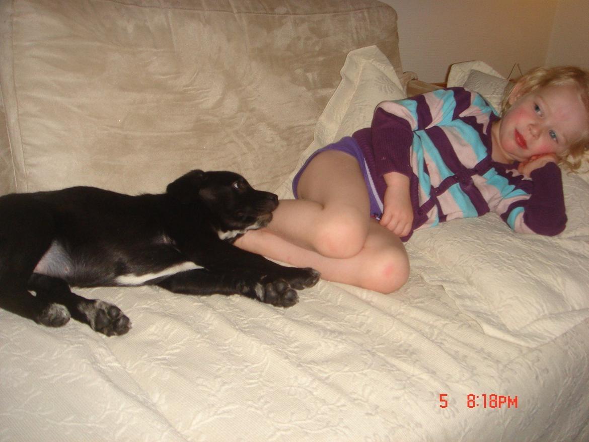 Blanding af racer Perle billede 4