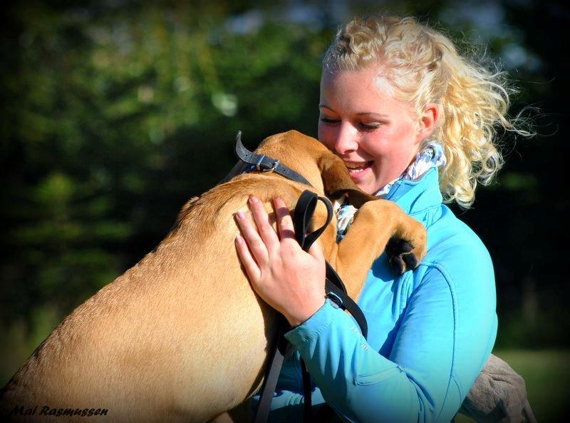 Blanding af racer Tiko ~ himmelhund 14/7-12 - 22/2-19 - Hundetræning sept. 2012 billede 15