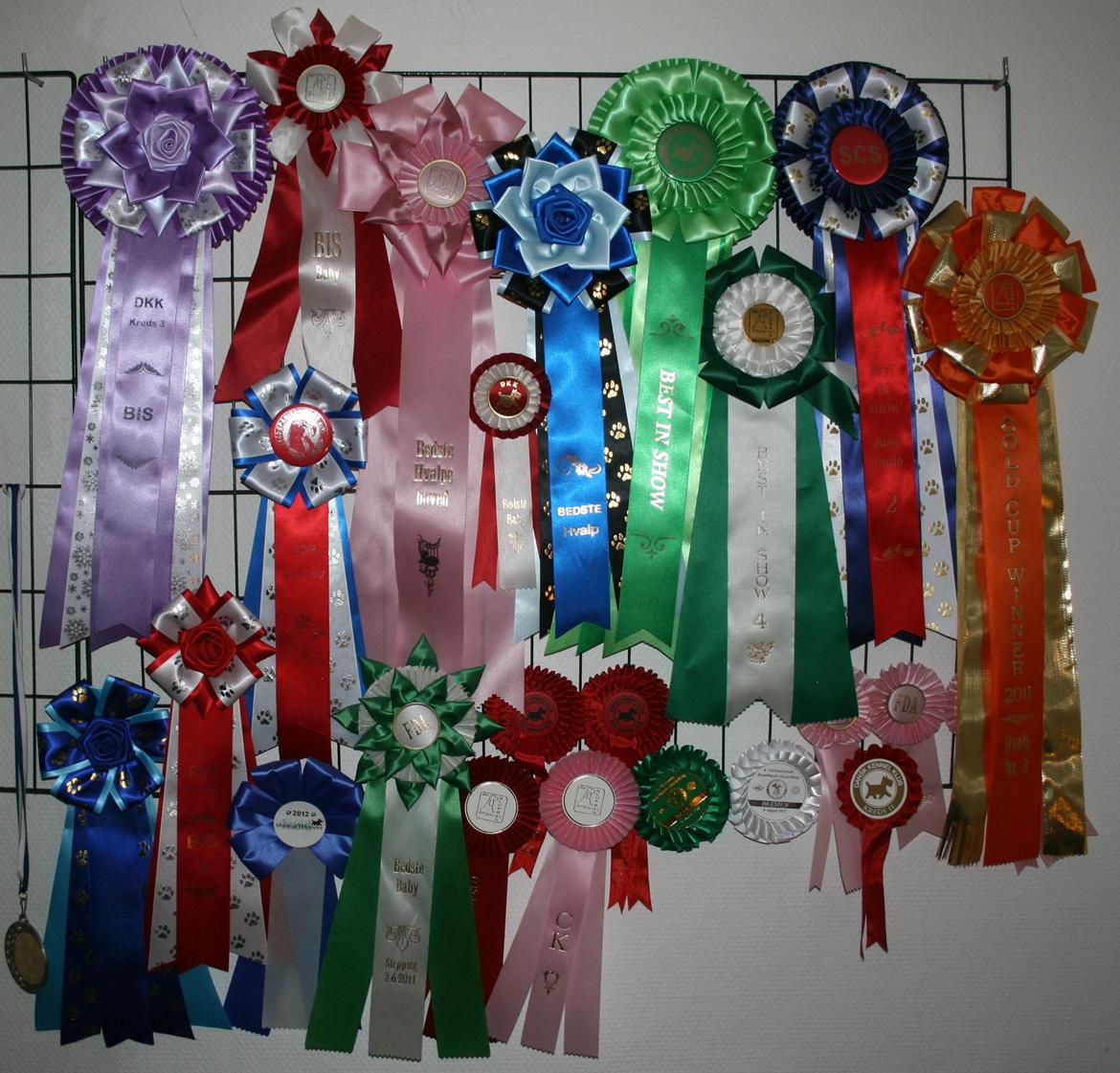 Cocker spaniel Diana - himmelhund - Alle de rosetter Diana har vundet indtil videre billede 24