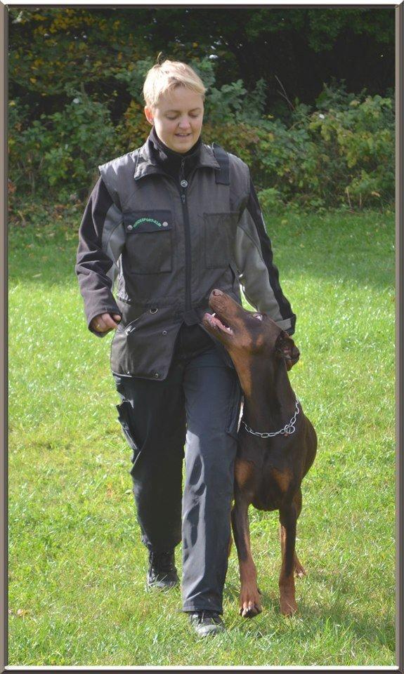 Dobermann Be-Barong Dumbledore aka Eddie billede 10