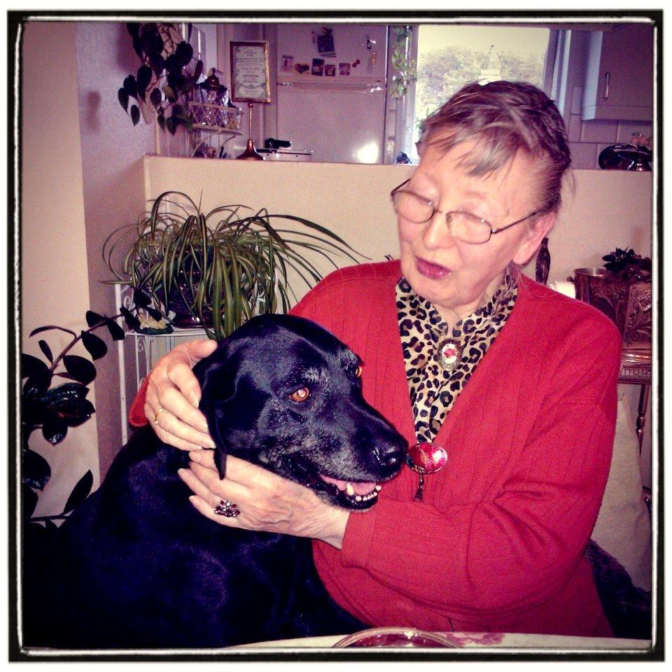 Labrador retriever Molly*R.I.P.* - 11/10-12 her sidder jeg sammen med "mormor". billede 20