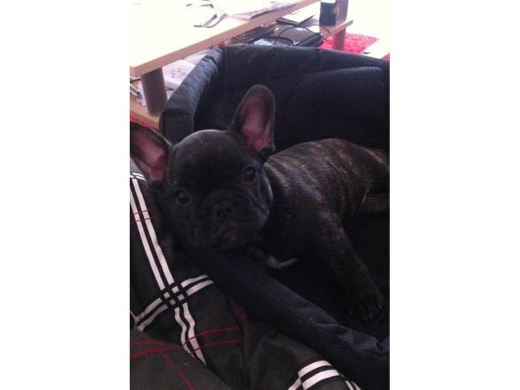 {{currentPhoto.altText}} billede {{currentPhoto.number}}