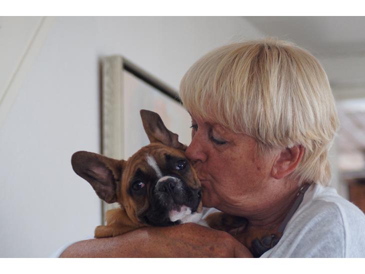 {{currentPhoto.altText}} billede {{currentPhoto.number}}