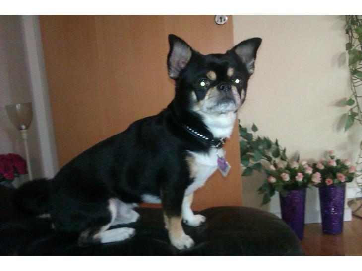 {{currentPhoto.altText}} billede {{currentPhoto.number}}