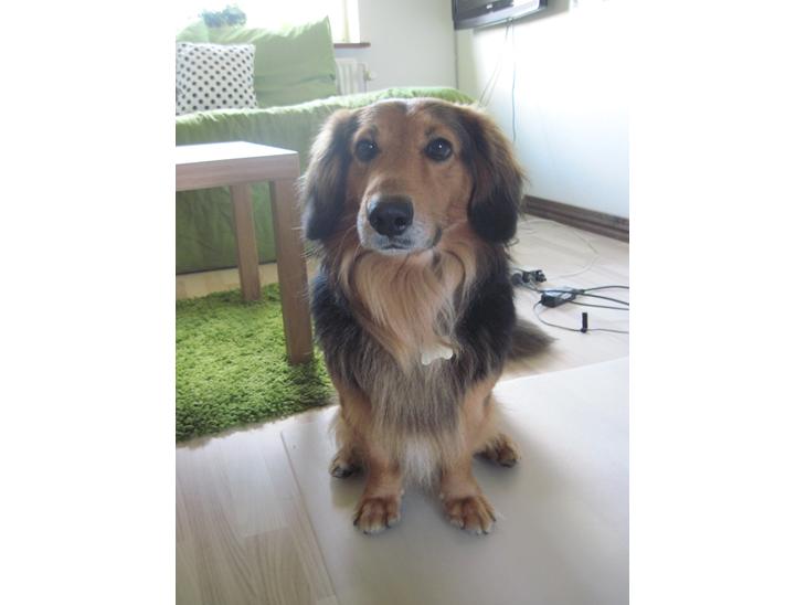 {{currentPhoto.altText}} billede {{currentPhoto.number}}