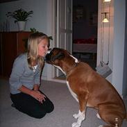 Boxer Tyson