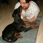 Dobermann Anton