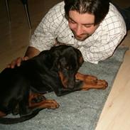 Dobermann Anton