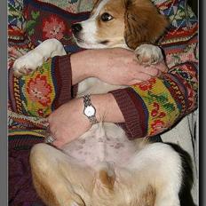 Blanding af racer Mark