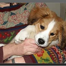 Blanding af racer Mark