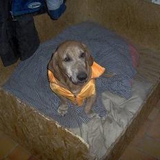 Blanding af racer Bonzo<33