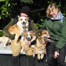 Blanding af racer Svejgaards Trifli