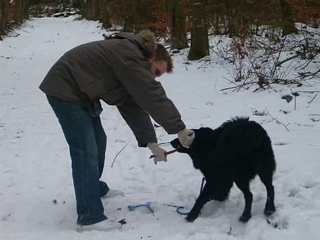 Blanding af racer Mads - jeg er meget stærkere end dig far..... billede 16