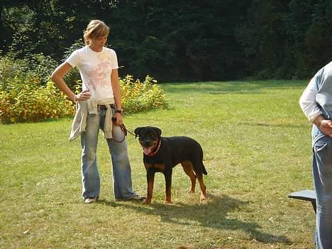 Rottweiler Tulle Larsen - Her er mig og min mor til hvalpetest.... ja ja!! Hvalp er måske så meget sagt... jeg er 1 1/2 år.... billede 6