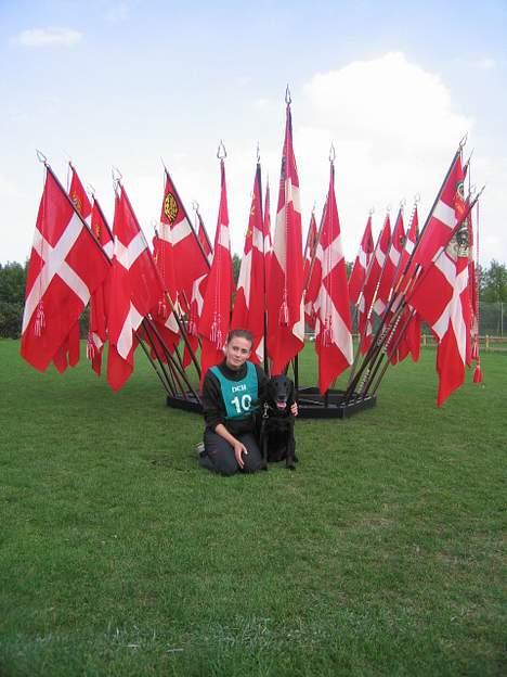 Labrador retriever Chica - Til DM i E, med en nervøs ejer..! :/ så må jeg jo passe på hende..!  billede 4